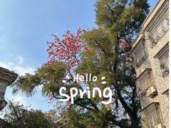 -黄埔古港