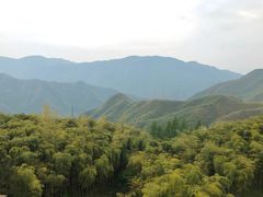 -江南天池