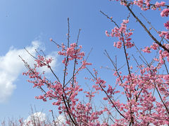 -东山风动石景区