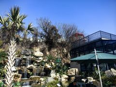 -平湖九龙山旅游度假区