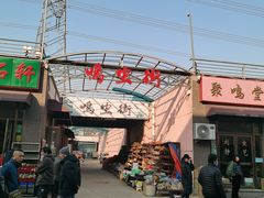 -中环花鸟鱼虫市场