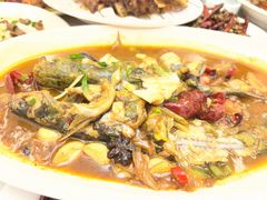 酱焖嘎牙鱼-小海丁