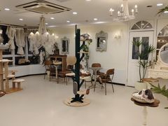 -共舞时光猫咖·狗咖(新街口店)