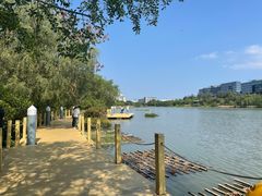 -华侨城湿地公园