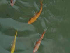 -粤剧艺术博物馆