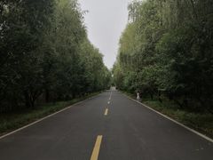 -同里国家湿地公园
