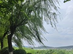 -云龙湖旅游景区