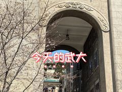 -武汉大学-樱园