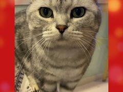 -平行世界·猫咖(首经贸店)