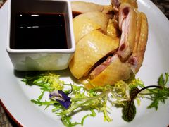 招牌白切鸡-绿茶餐厅(千岛湖银泰城店)