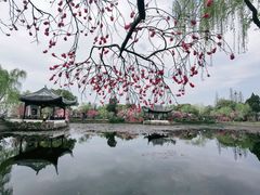 -无锡蠡湖国家湿地公园-蠡园