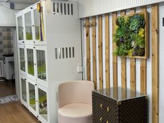 -青奢宠物·青奢猫舍