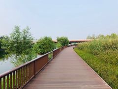-西海子公园