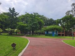 -雀儿山公园