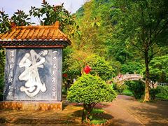 -靖西鹅泉风景区
