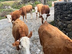 -玉湖村
