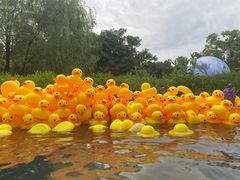 -溧阳天目湖天沐温泉