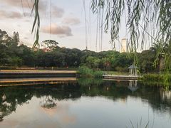 -四海公园(南山区)
