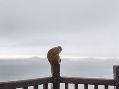 -庐山风景名胜区