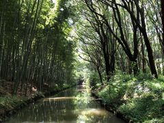 -同里国家湿地公园