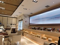 -南航明珠v2头等舱公务舱休息室