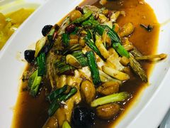 鲥鱼-榕港名轩(天禧店)