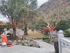 -灵光寺