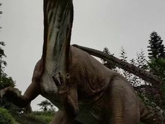 -自贡恐龙博物馆