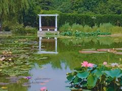 -国家植物园南园