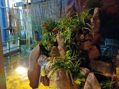 -阳光闲庭云南菜(金实店)