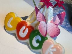 -蝶舍·MAISON PAPILLON