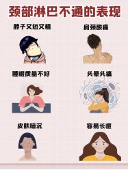 -香薇妮丝·定制减肥·身材管理