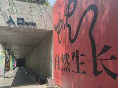 -中国湿地博物馆