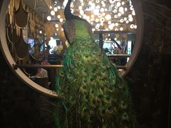 -雀蓝川菜(奥体广场店)