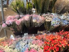 -循礼门鲜花花市(武汉循礼门店)