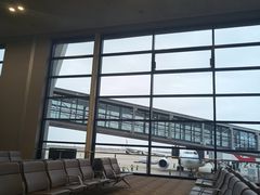 -上海浦东国际机场-T2航站楼