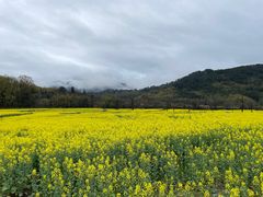 -塔川景区
