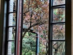 -溪口-滕头旅游景区