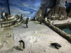 -成都浩海立方海洋公园