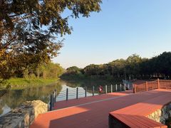 -上海浦江郊野公园-5号停车场