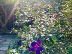 -驿舍·民國老营房院子私房菜(科学会堂店)