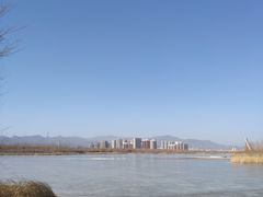 -永定河休闲森林公园