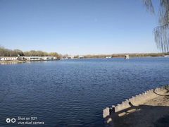 -大兴滨河森林公园