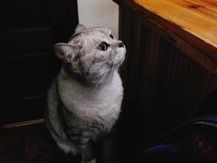 -隅cafe(傅厚岗店)