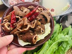 -阳阳老火锅(小南门店)