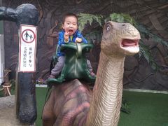 -陕西自然博物馆