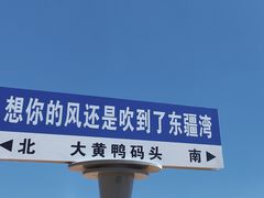 -天津东疆湾沙滩景区