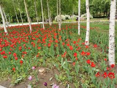 -长春公园(普阳街道)