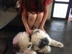 -莓园冰淇淋店