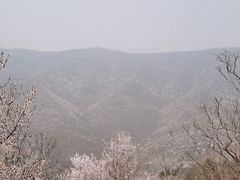 -北京鹫峰国家森林公园